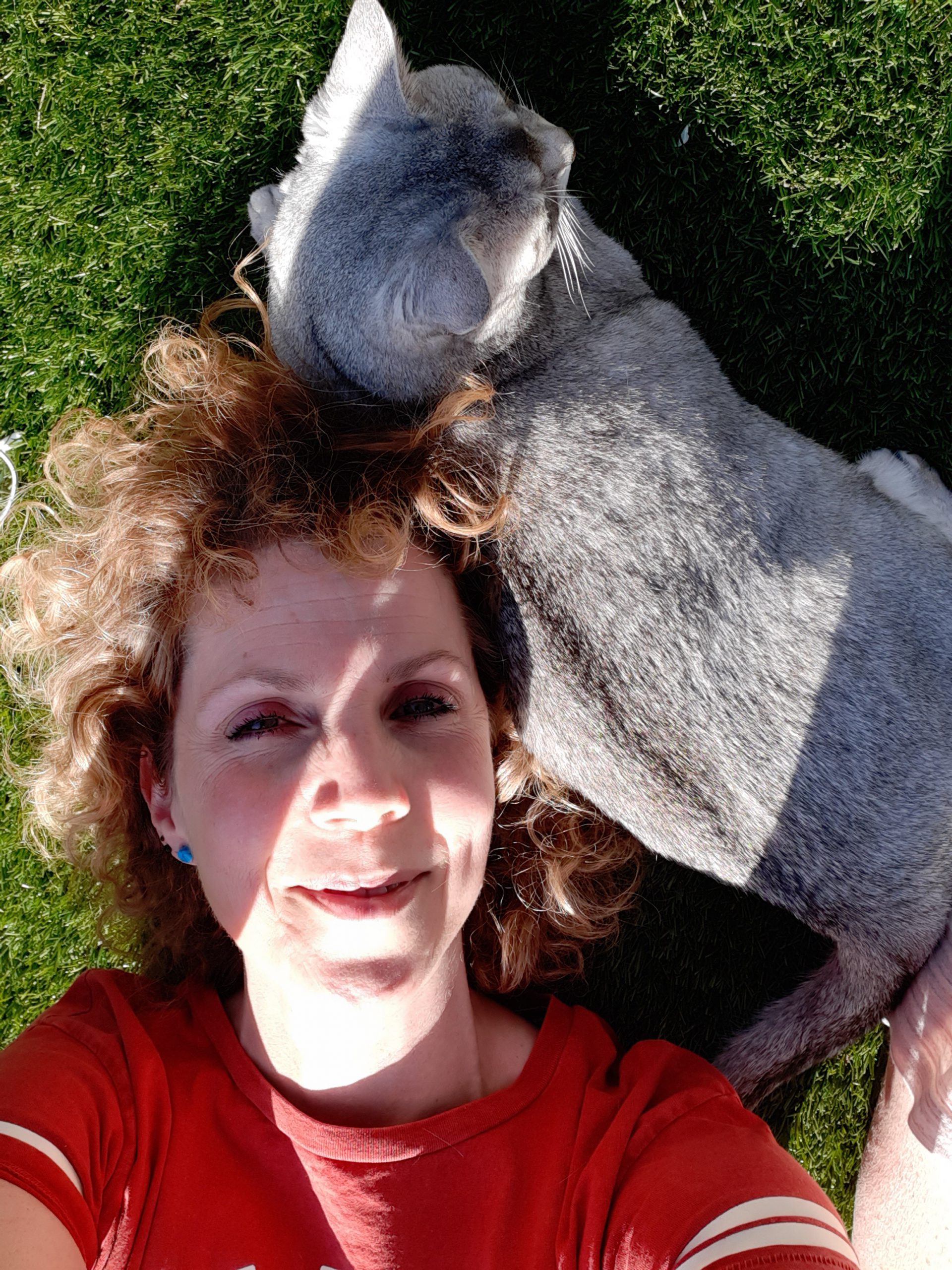 Stresul a provocat un regres major Csupport