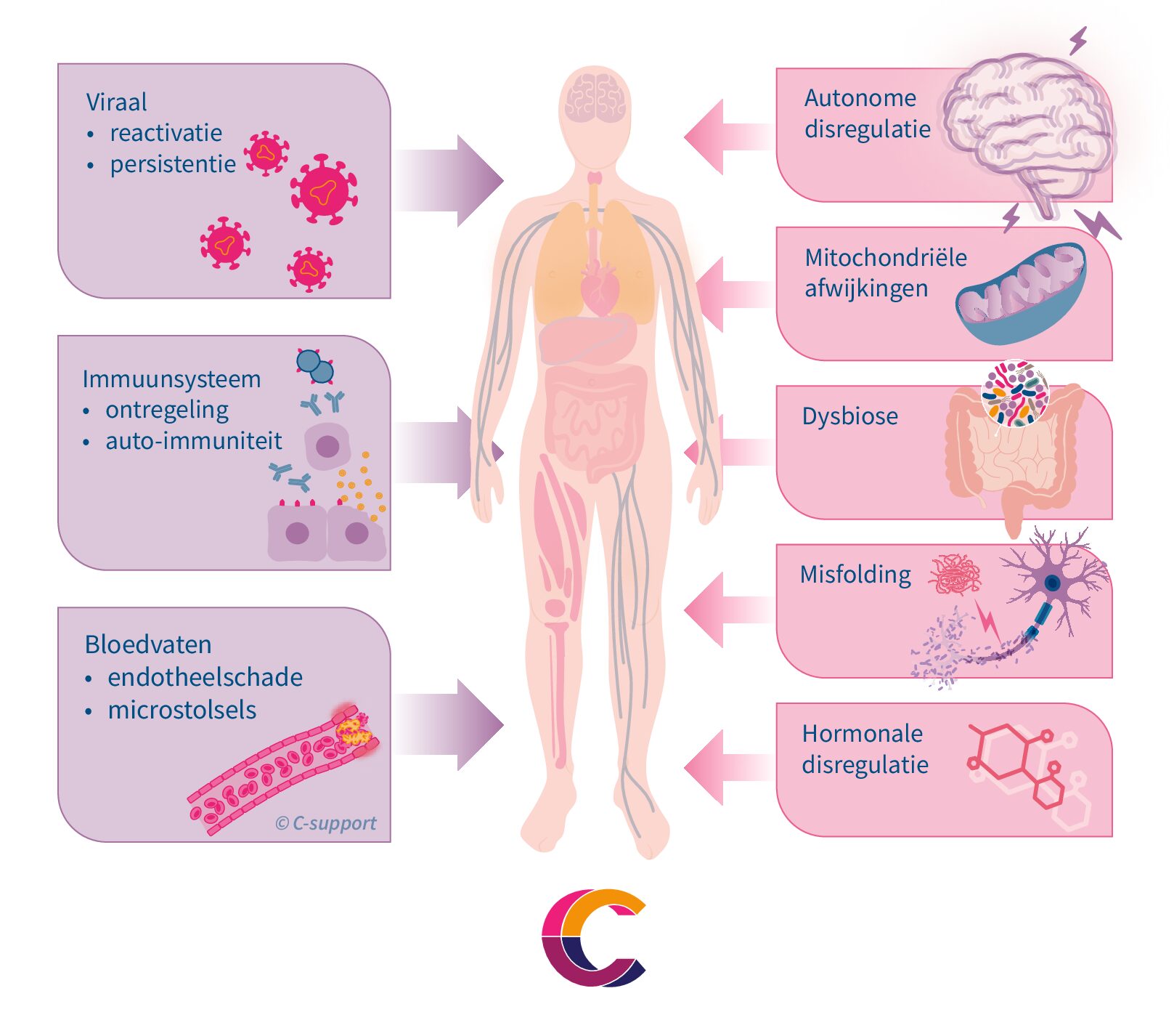 Visuele uitleg van de theorieën over Post Covid Syndroom