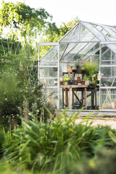 Glass greenhouse